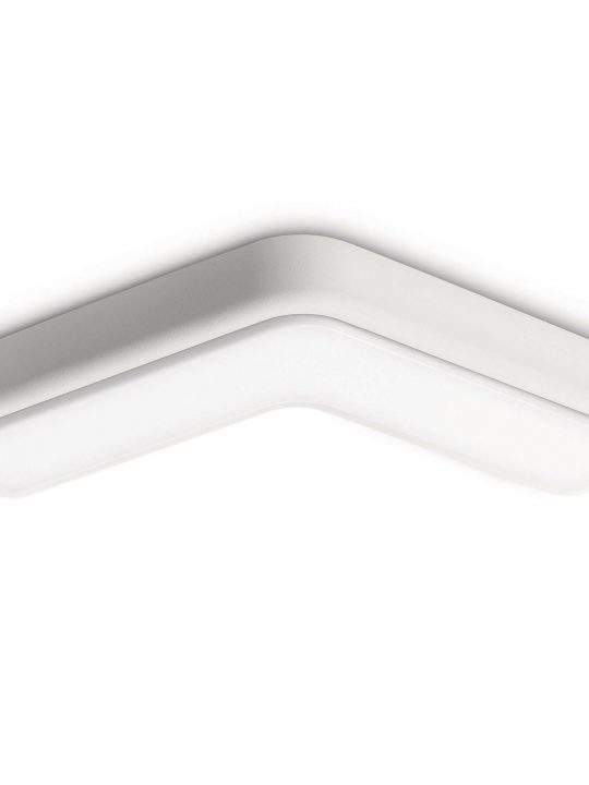 Philips PLAYFUL zidna lampa/plafonjera - 33100/31/16