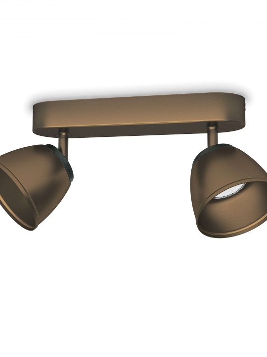 Philips COUNTY spot lampa - 53352/06/16