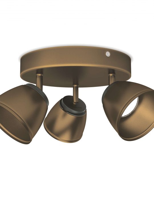 Philips COUNTY spot lampa - 53353-06-16