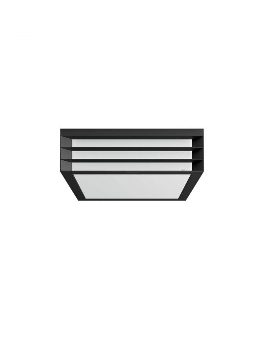 Philips MOONSHINE spoljna plafonjera - 17350-93-PN
