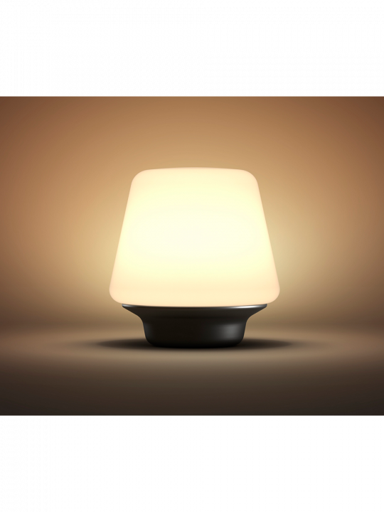 Philips HUE WELLNESS stona lampa - 4080130P7 - 3