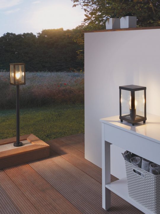 EGLO ALAMONTE 1 Podna lampa - 94833